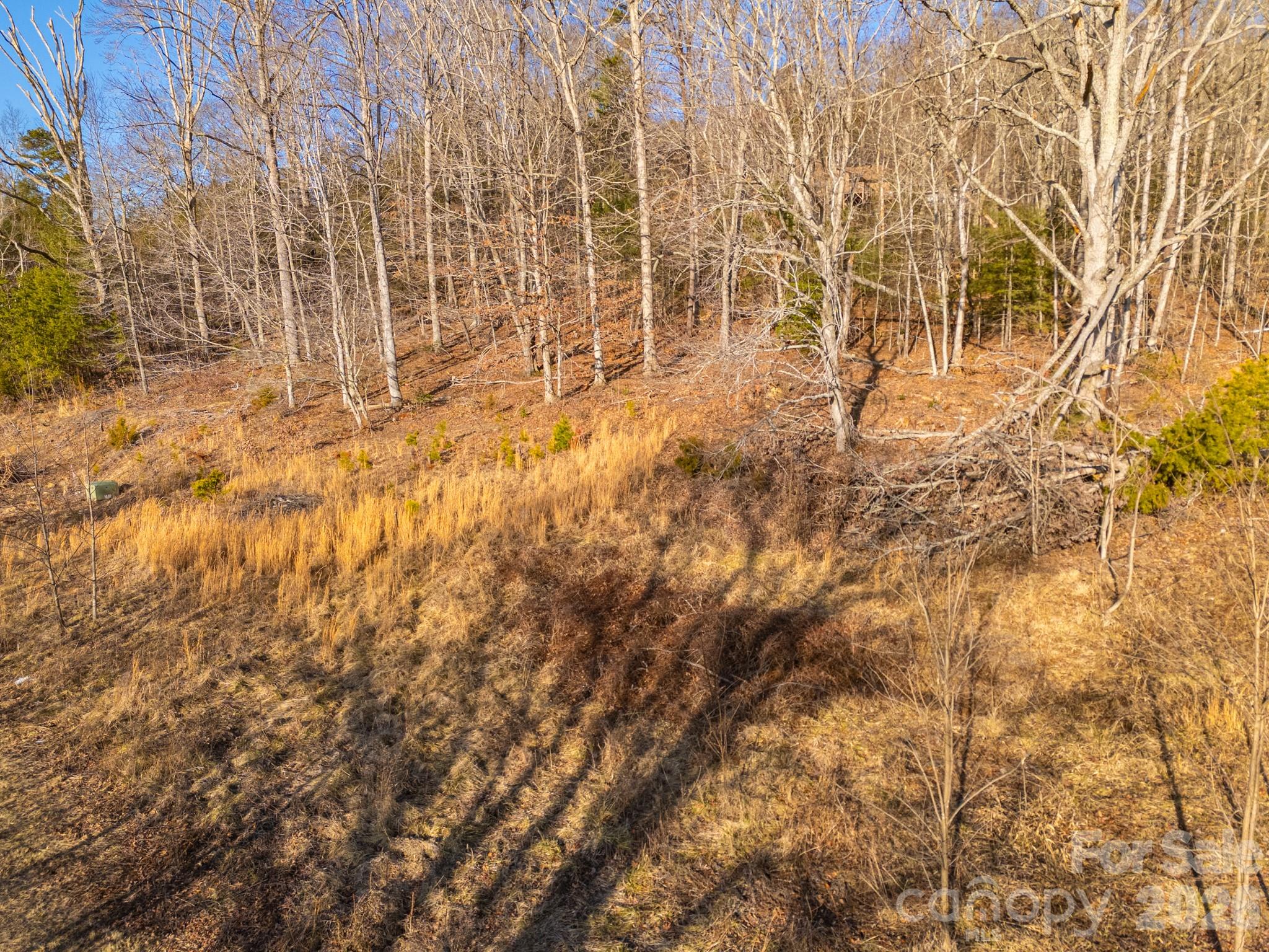 Tbd Mystic View Lane Black Mountain NC 28711