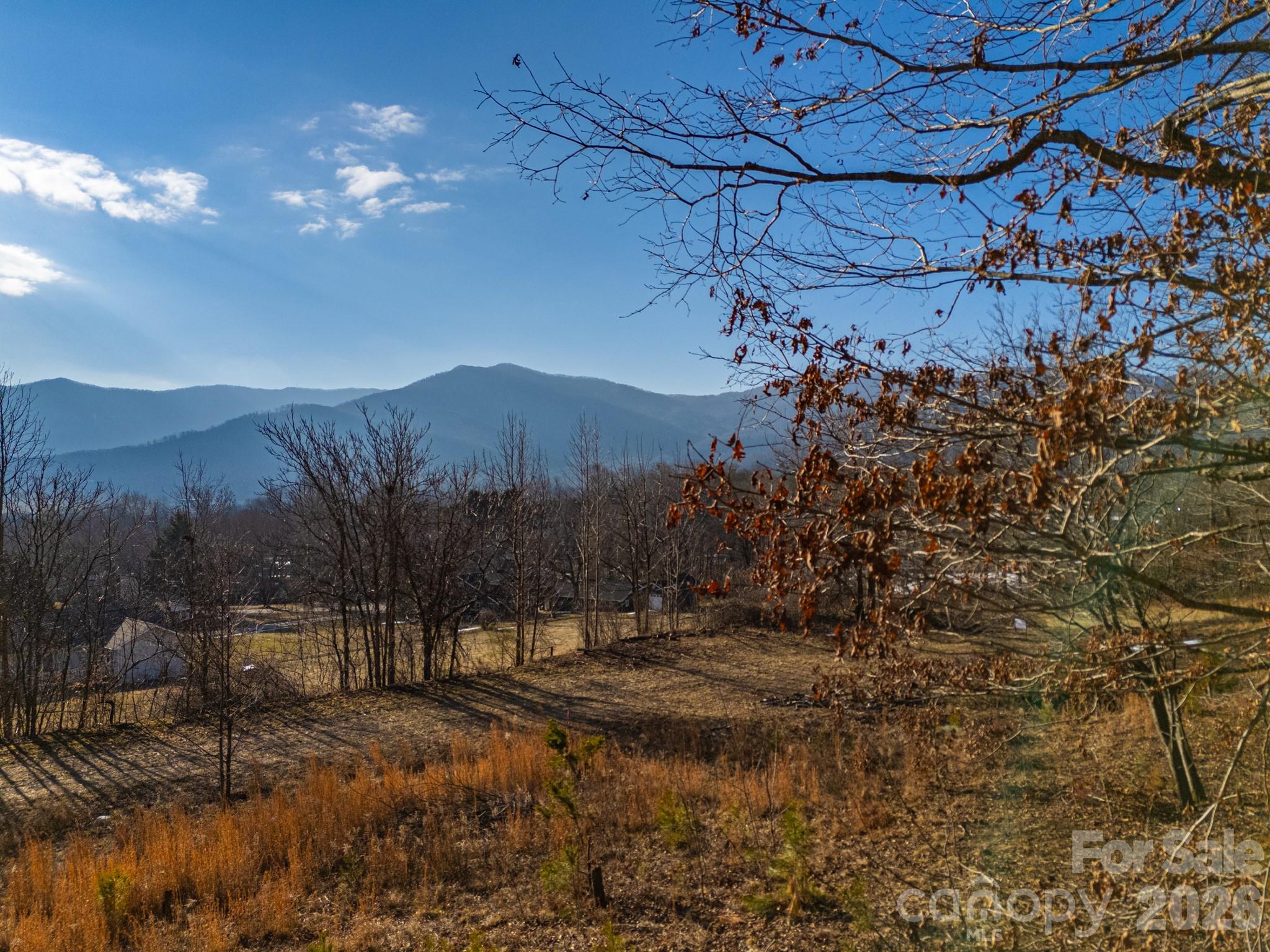 Tbd Mystic View Lane Black Mountain NC 28711