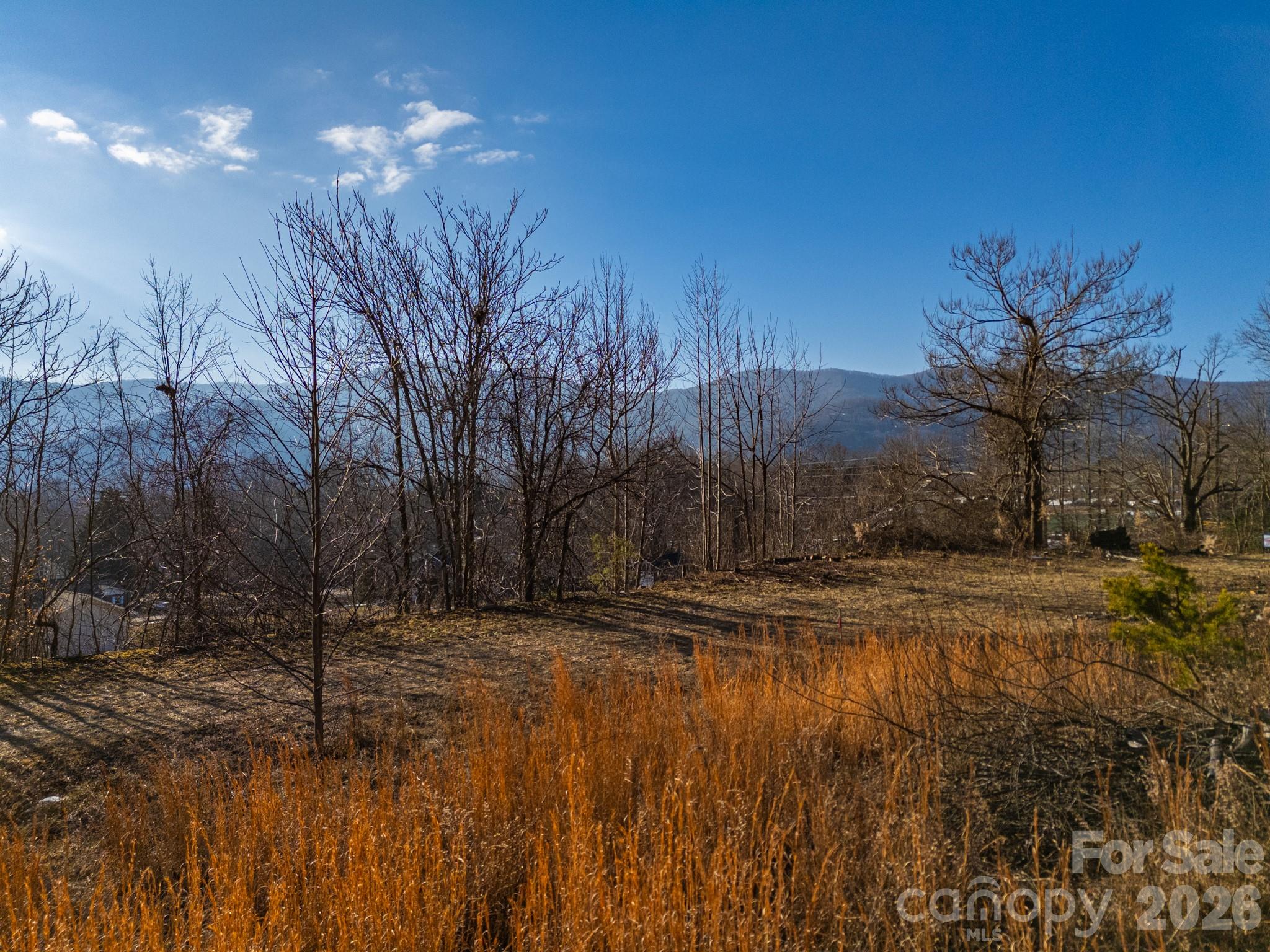 Tbd Mystic View Lane Black Mountain NC 28711