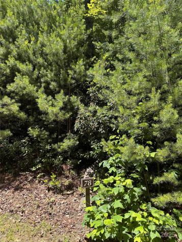 66 Boone Cove Road Zirconia NC 28790