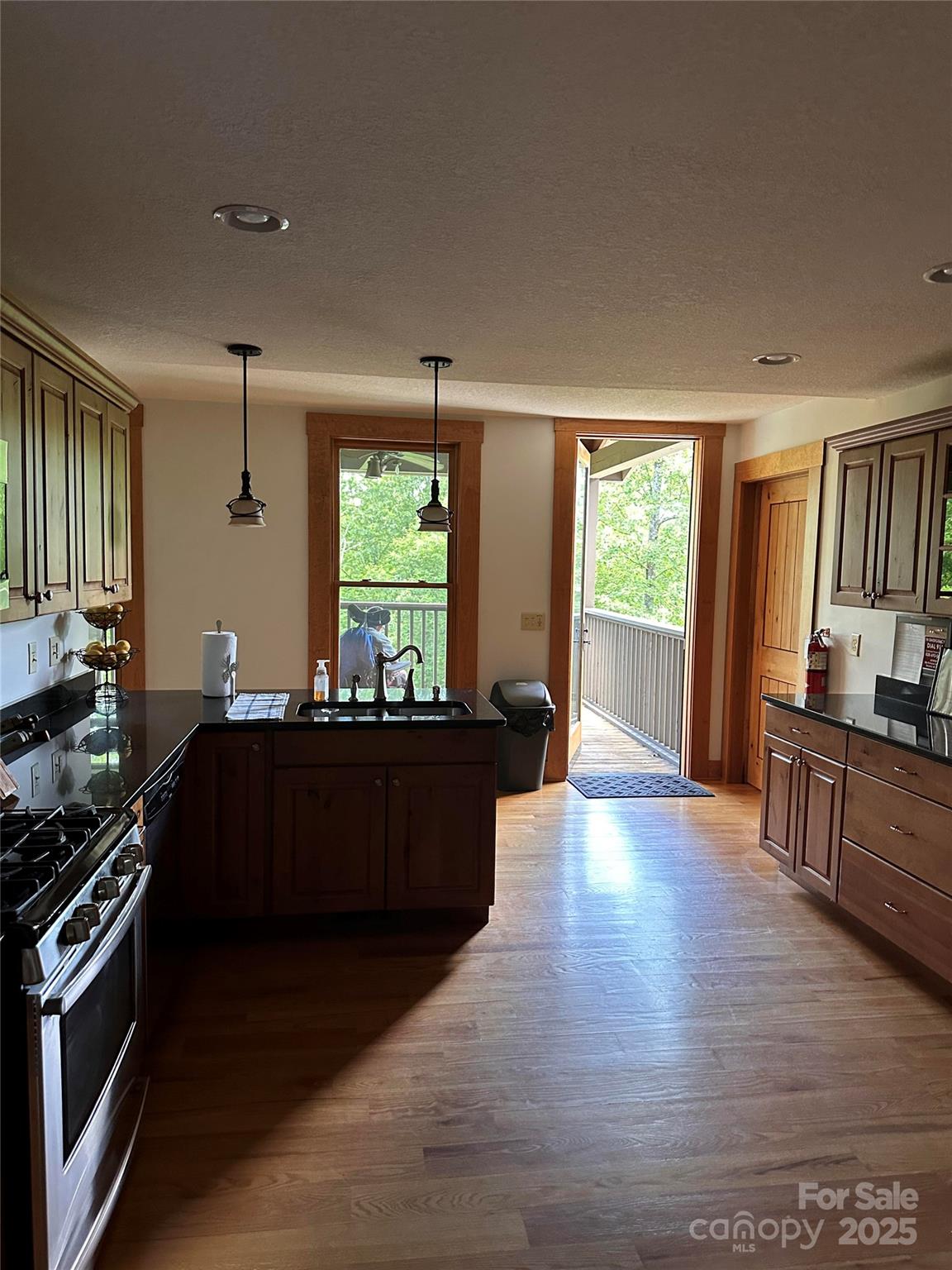 66 Boone Cove Road Zirconia NC 28790