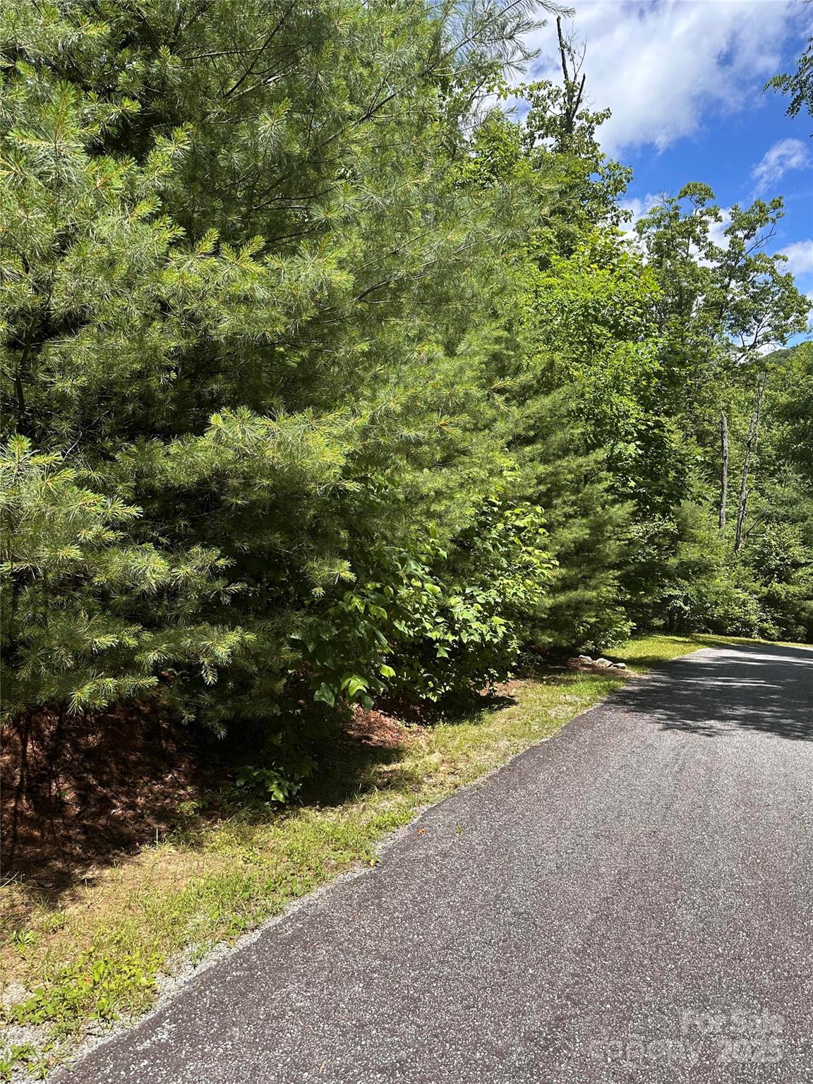66 Boone Cove Road Zirconia NC 28790
