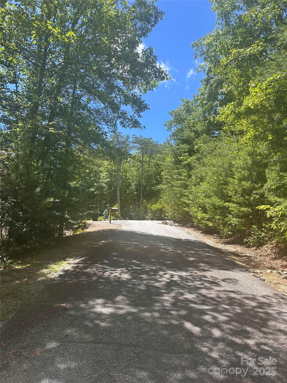 66 Boone Cove Road Zirconia NC 28790