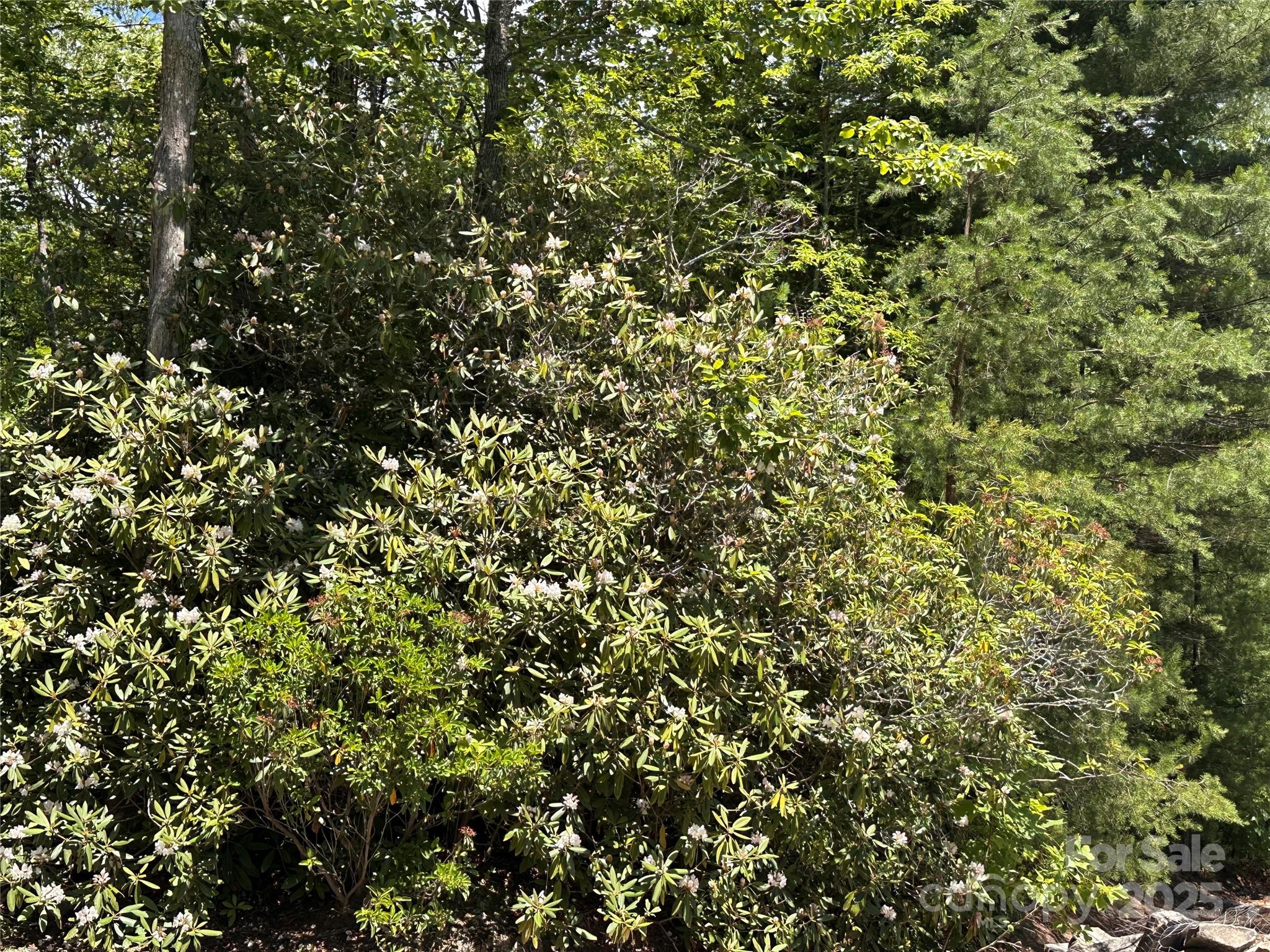 66 Boone Cove Road Zirconia NC 28790