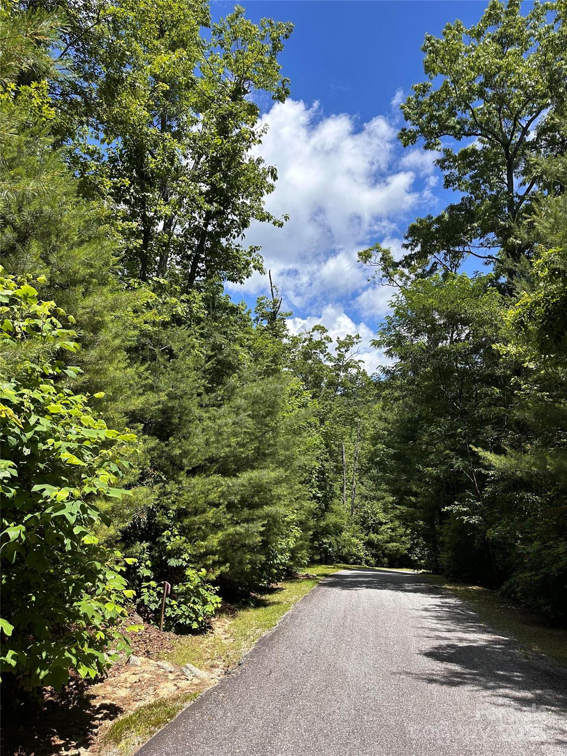66 Boone Cove Road Zirconia NC 28790