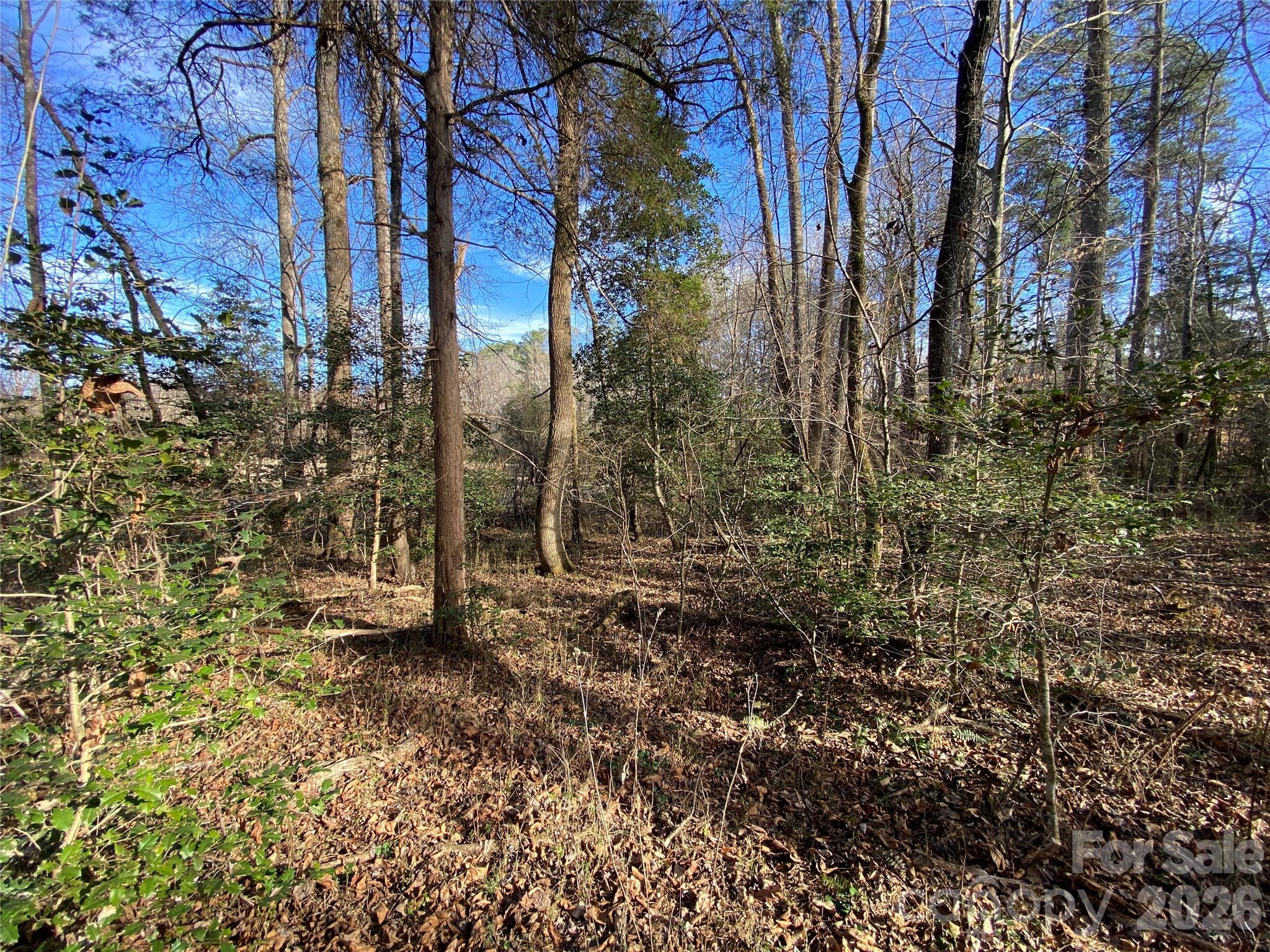 0 Us Highway 64/74a Highway Rutherfordton NC 28139