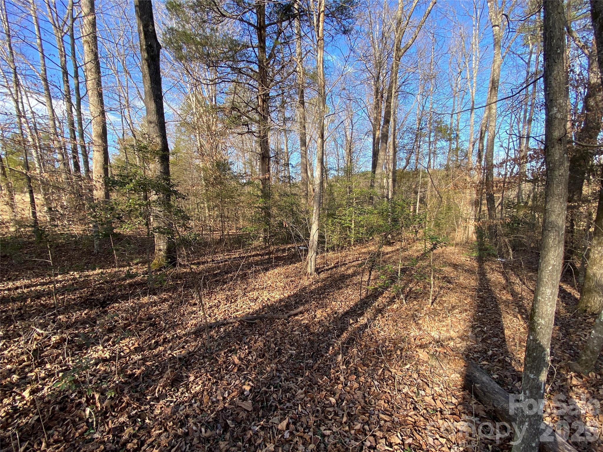 0 Us Highway 64/74a Highway Rutherfordton NC 28139