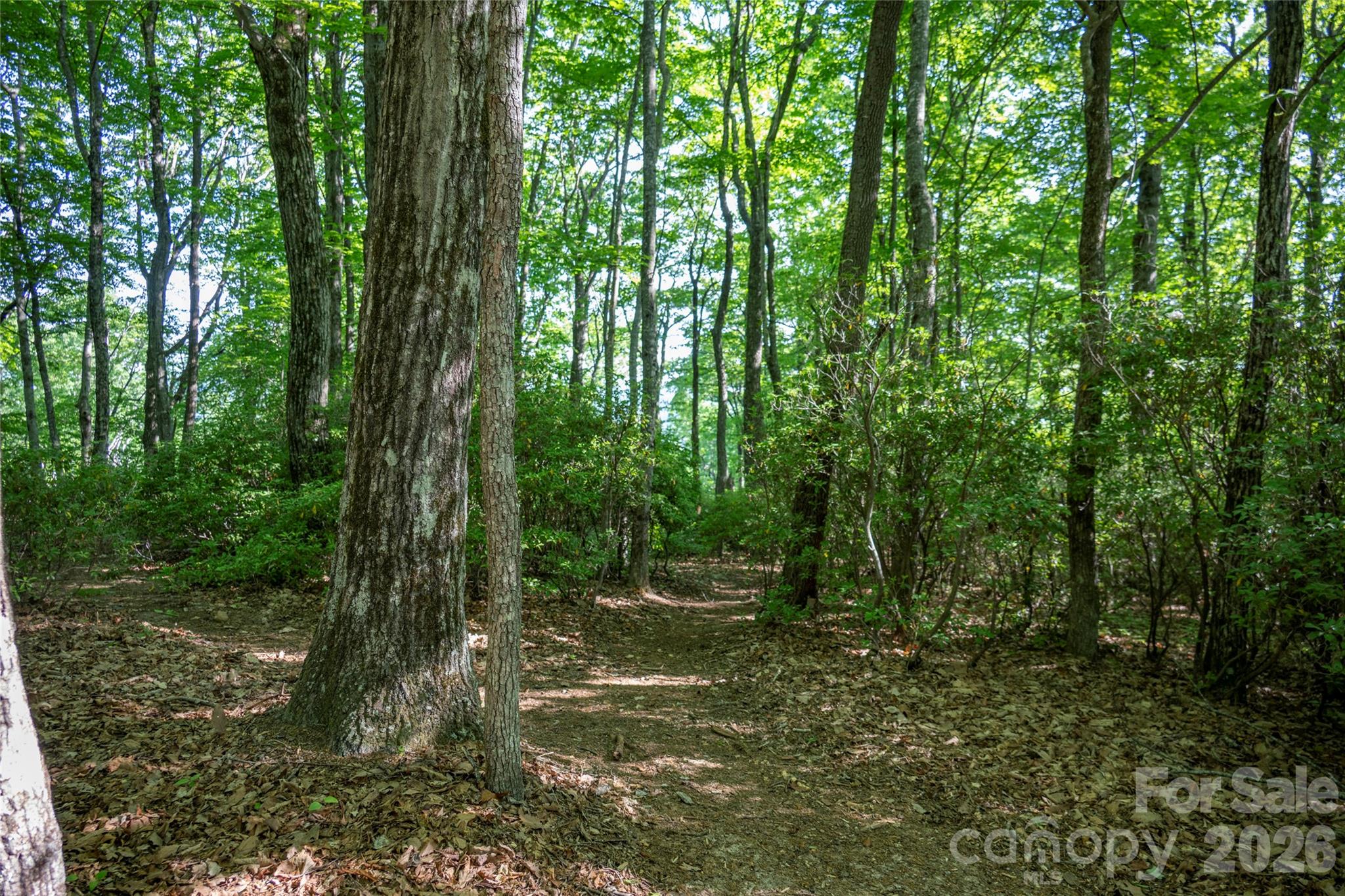 Tm I 33 Toxaway Drive Lake Toxaway NC 28747