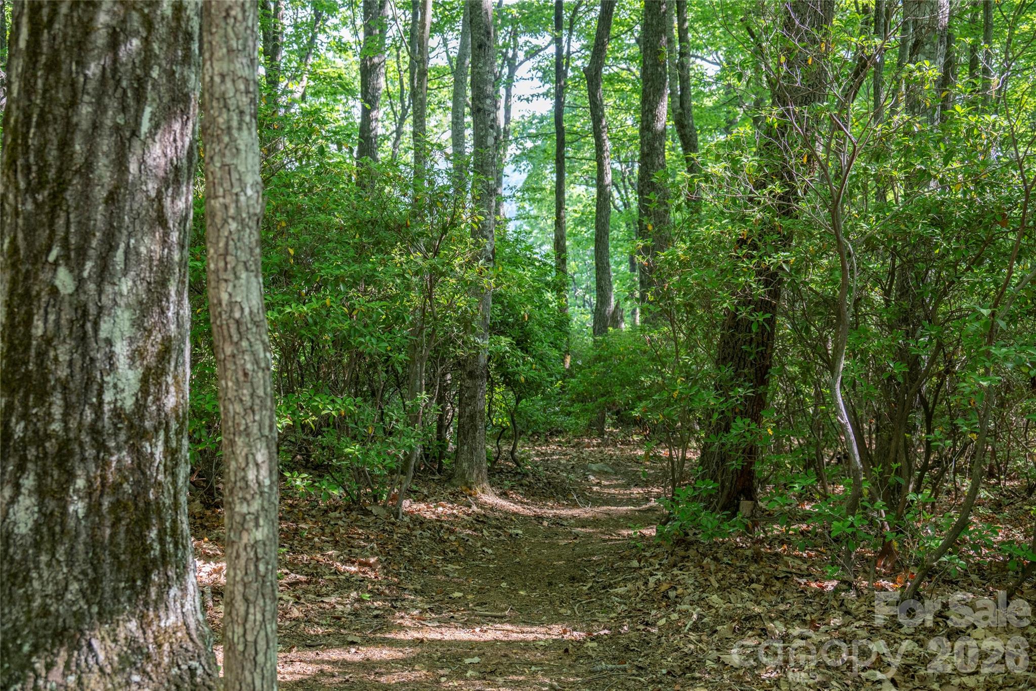 Tm I 33 Toxaway Drive Lake Toxaway NC 28747