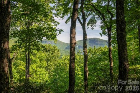 Tm I 33 Toxaway Drive Lake Toxaway NC 28747