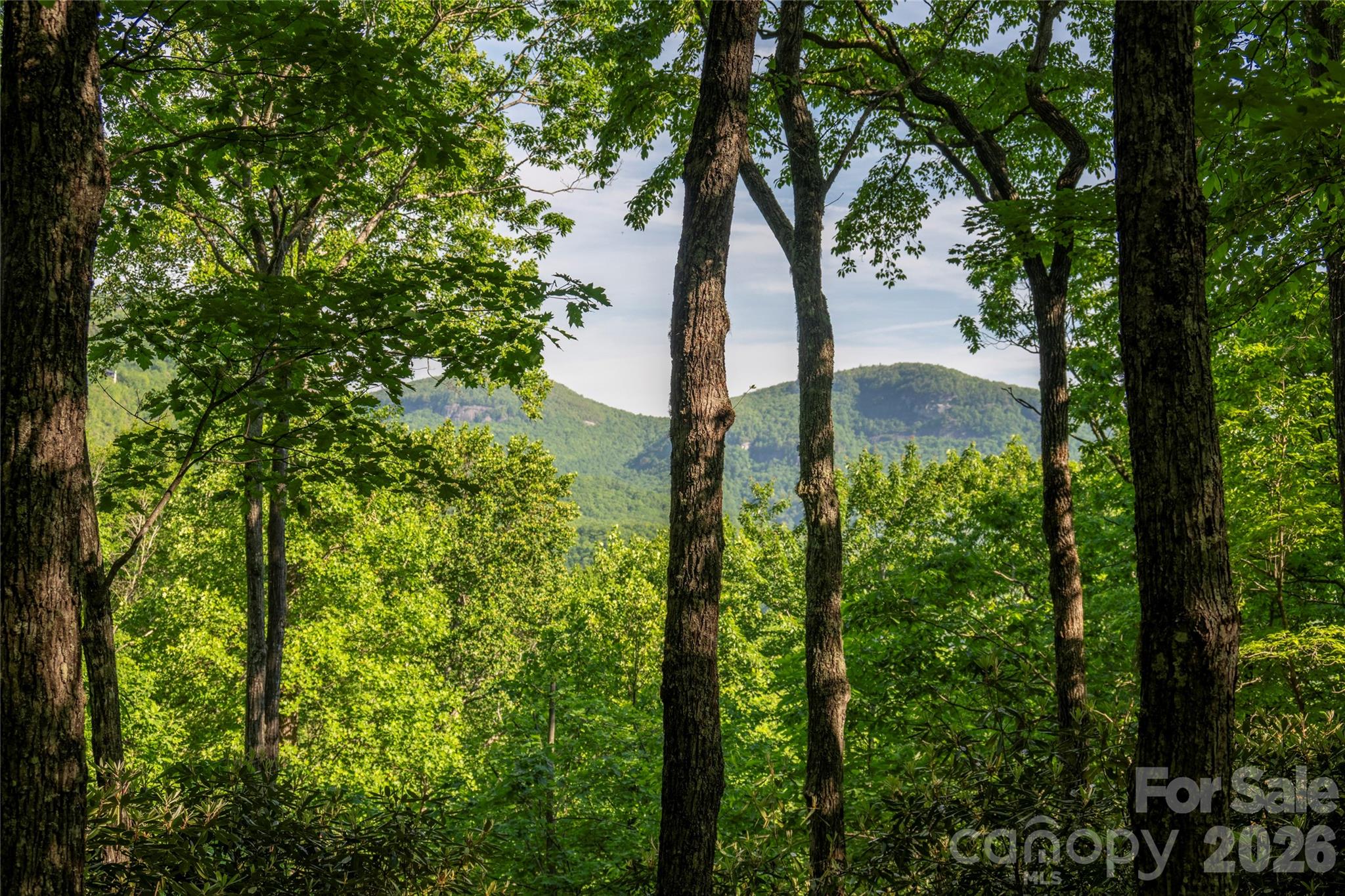Tm I 33 Toxaway Drive Lake Toxaway NC 28747