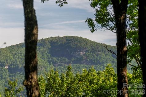 Tm I 33 Toxaway Drive Lake Toxaway NC 28747
