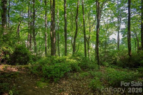 Tm I 33 Toxaway Drive Lake Toxaway NC 28747