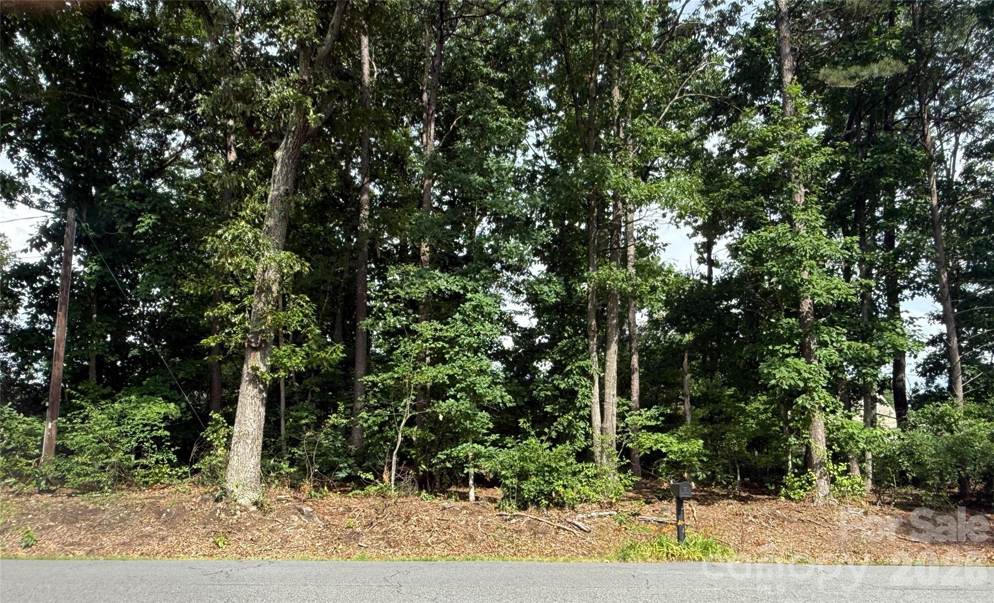 00 Brookhaven Drive Lincolnton NC 28092