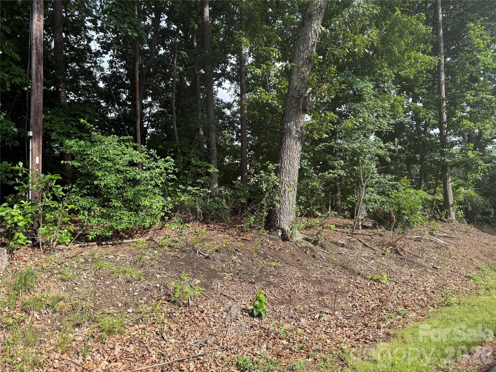 00 Brookhaven Drive Lincolnton NC 28092