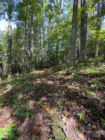 0 Empress Lane Henderson NC 28792