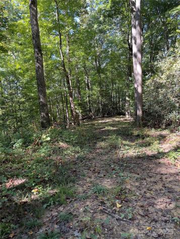 0 Empress Lane Henderson NC 28792