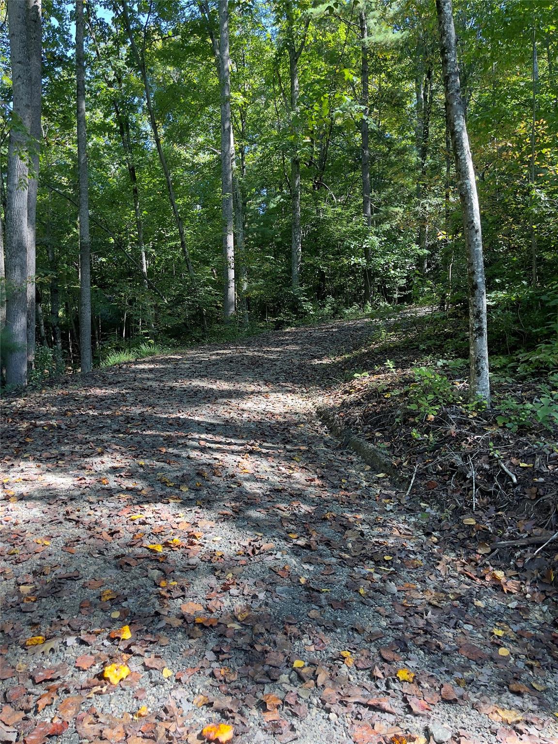 0 Empress Lane Henderson NC 28792