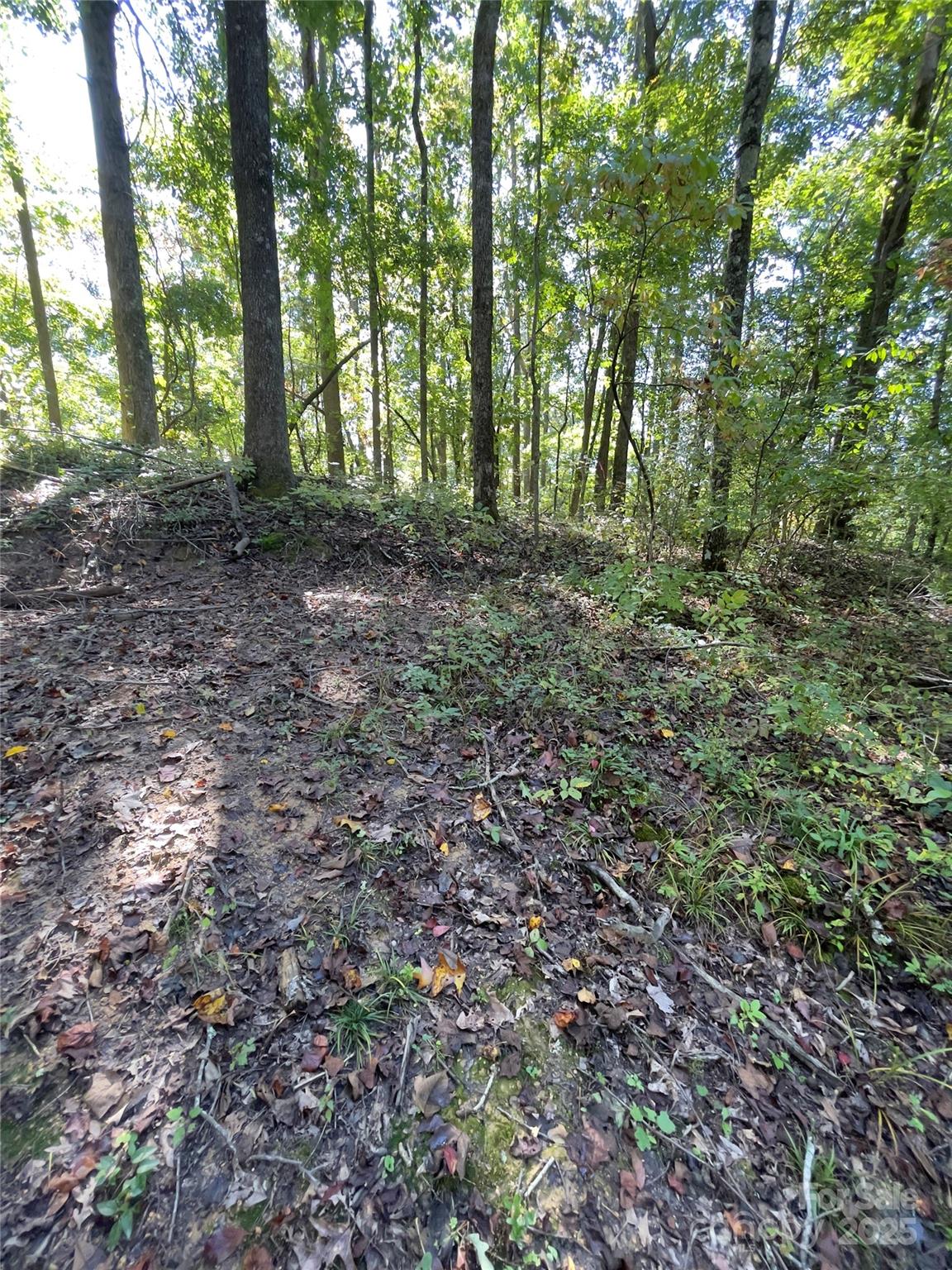 0 Empress Lane Henderson NC 28792