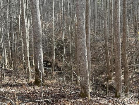 00000 Martins Creek Road Barnardsville NC 28709