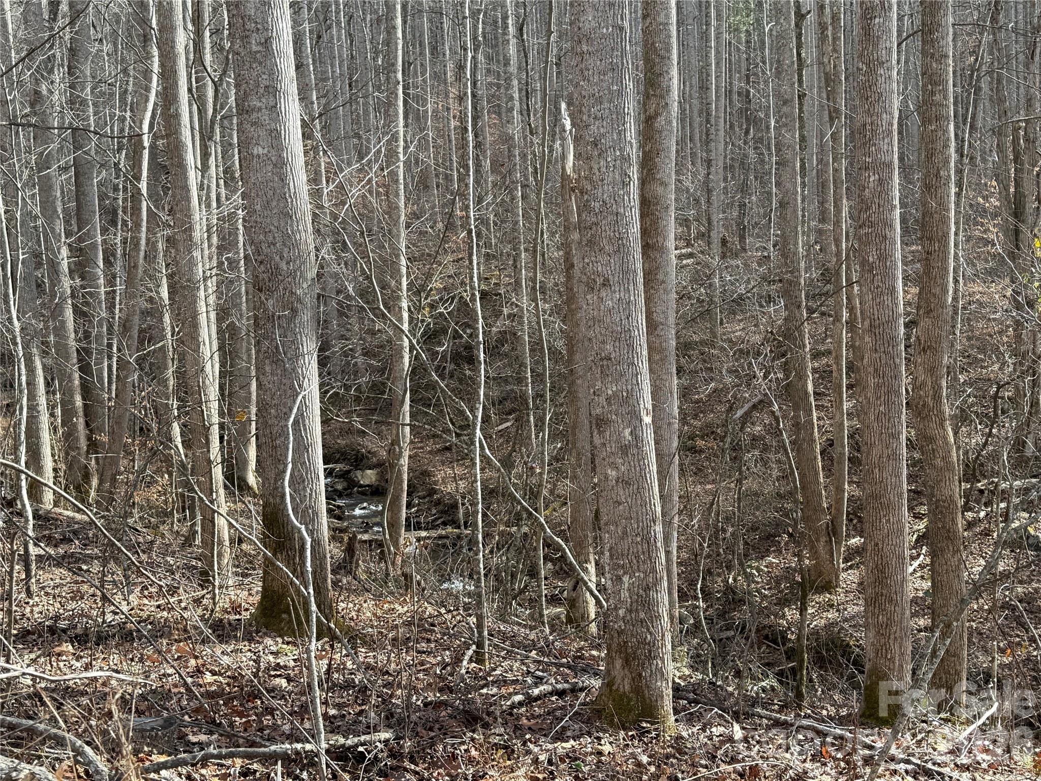 00000 Martins Creek Road Barnardsville NC 28709