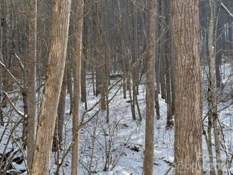 00000 Martins Creek Road Barnardsville NC 28709