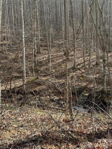 00000 Martins Creek Road Barnardsville NC 28709