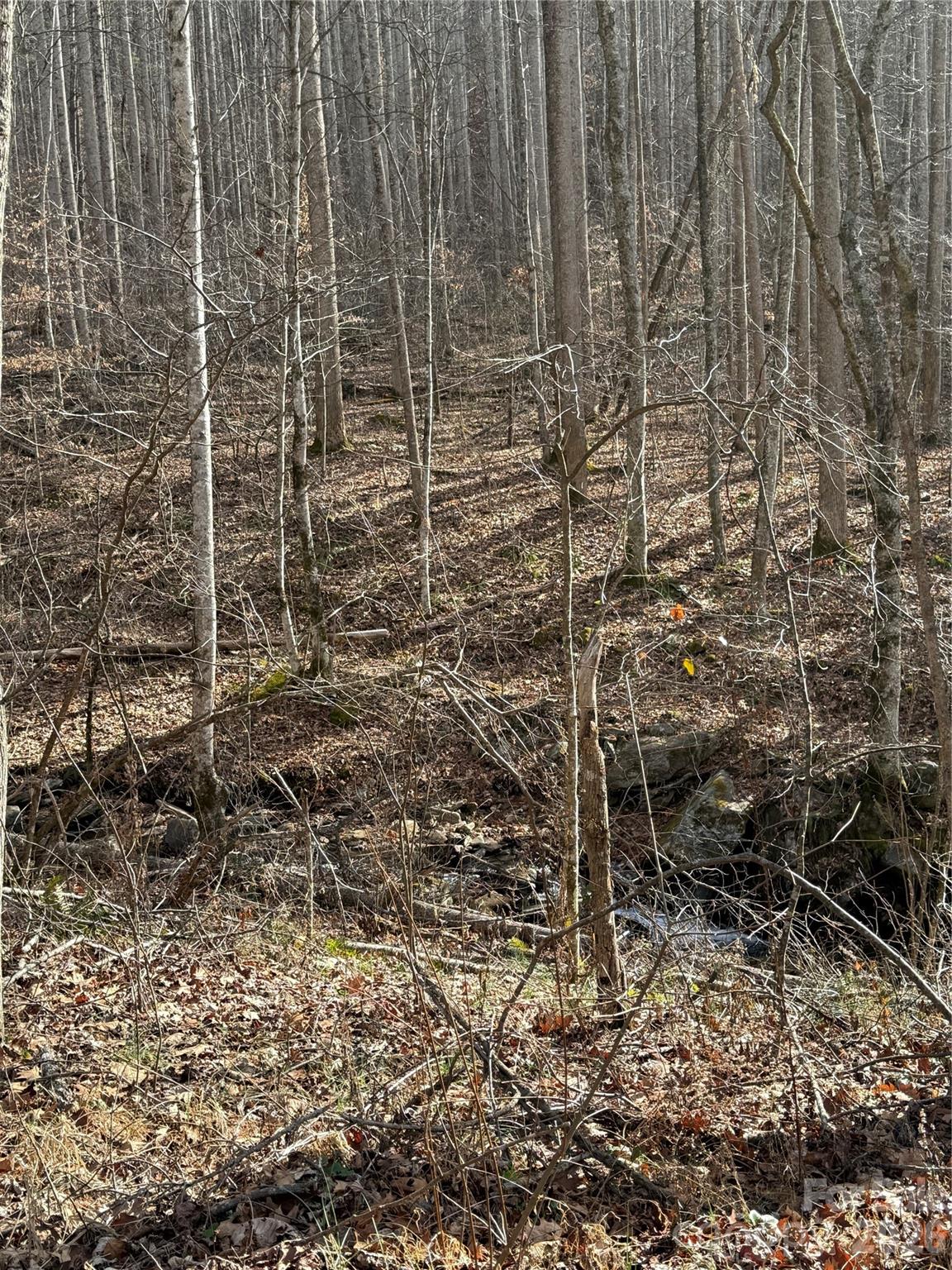 00000 Martins Creek Road Barnardsville NC 28709