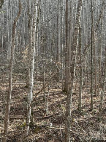 00000 Martins Creek Road Barnardsville NC 28709