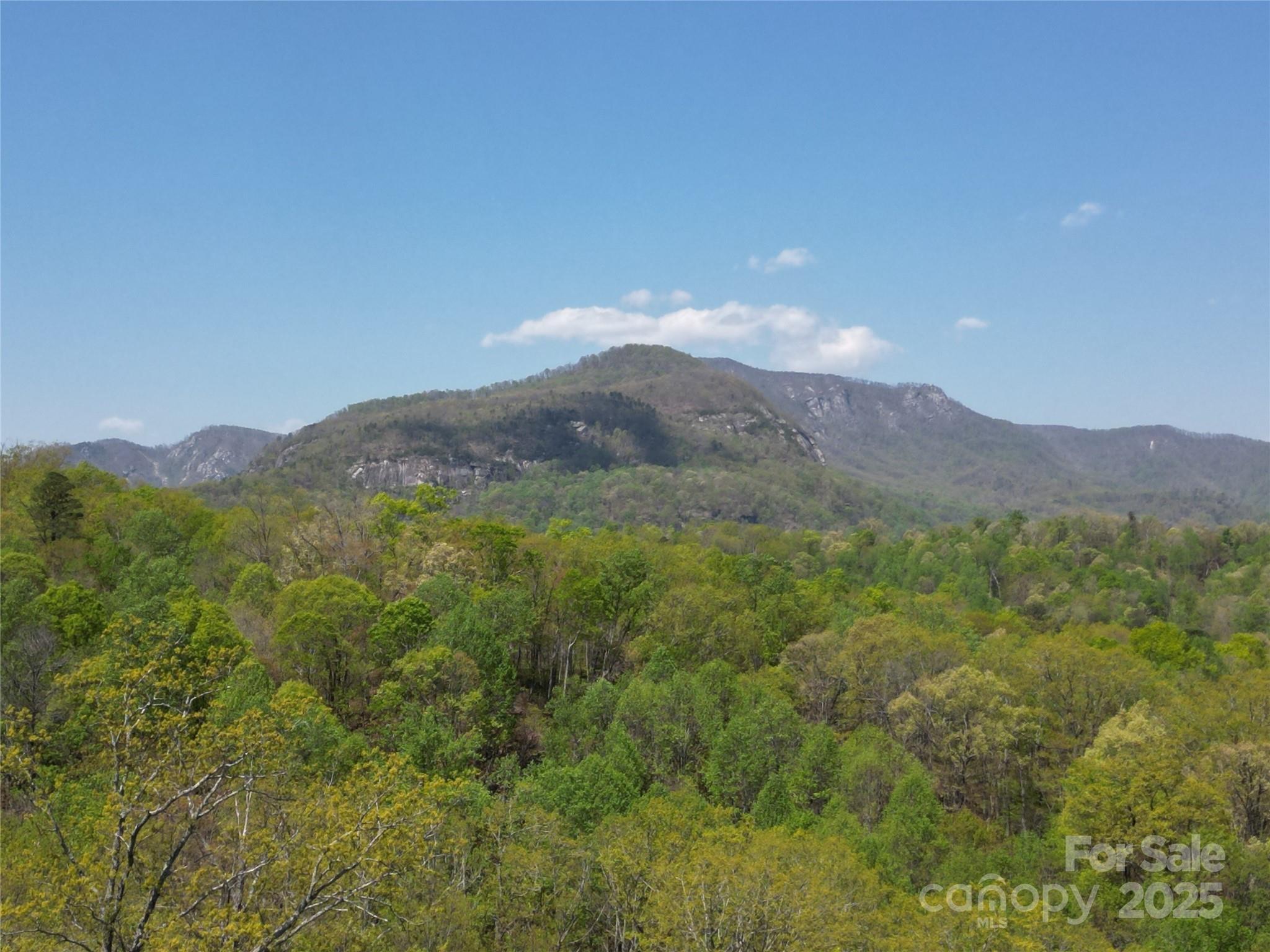 Lot 35 High Rock Ridge Lake Lure NC 28746