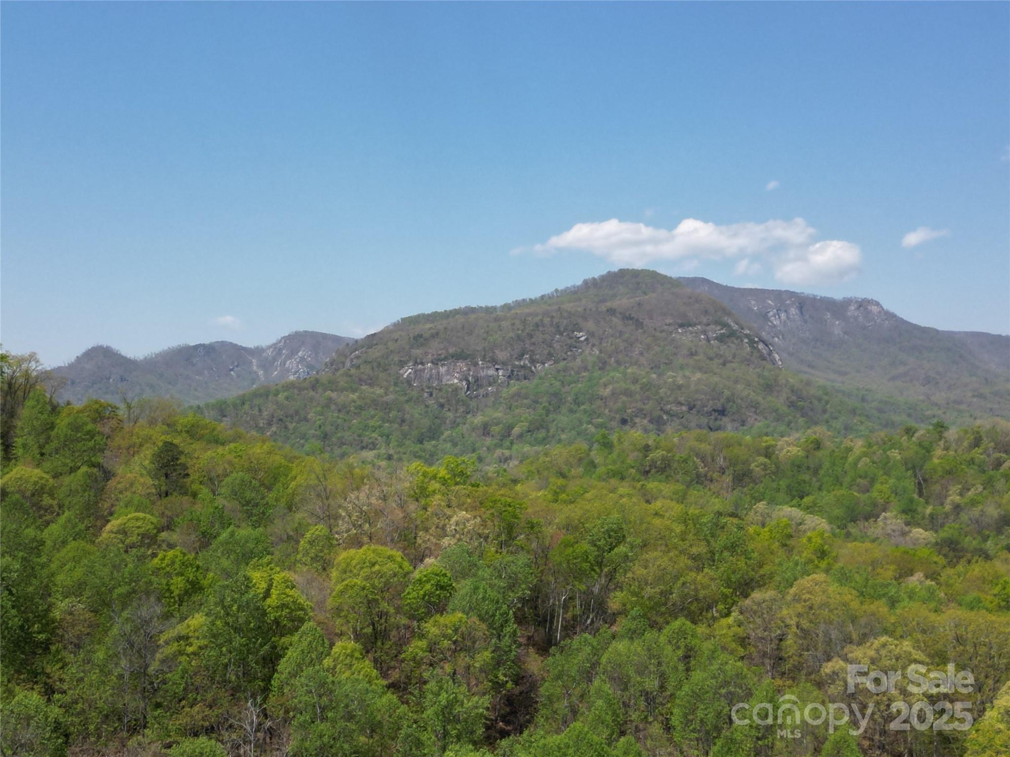 Lot 35 High Rock Ridge Lake Lure NC 28746