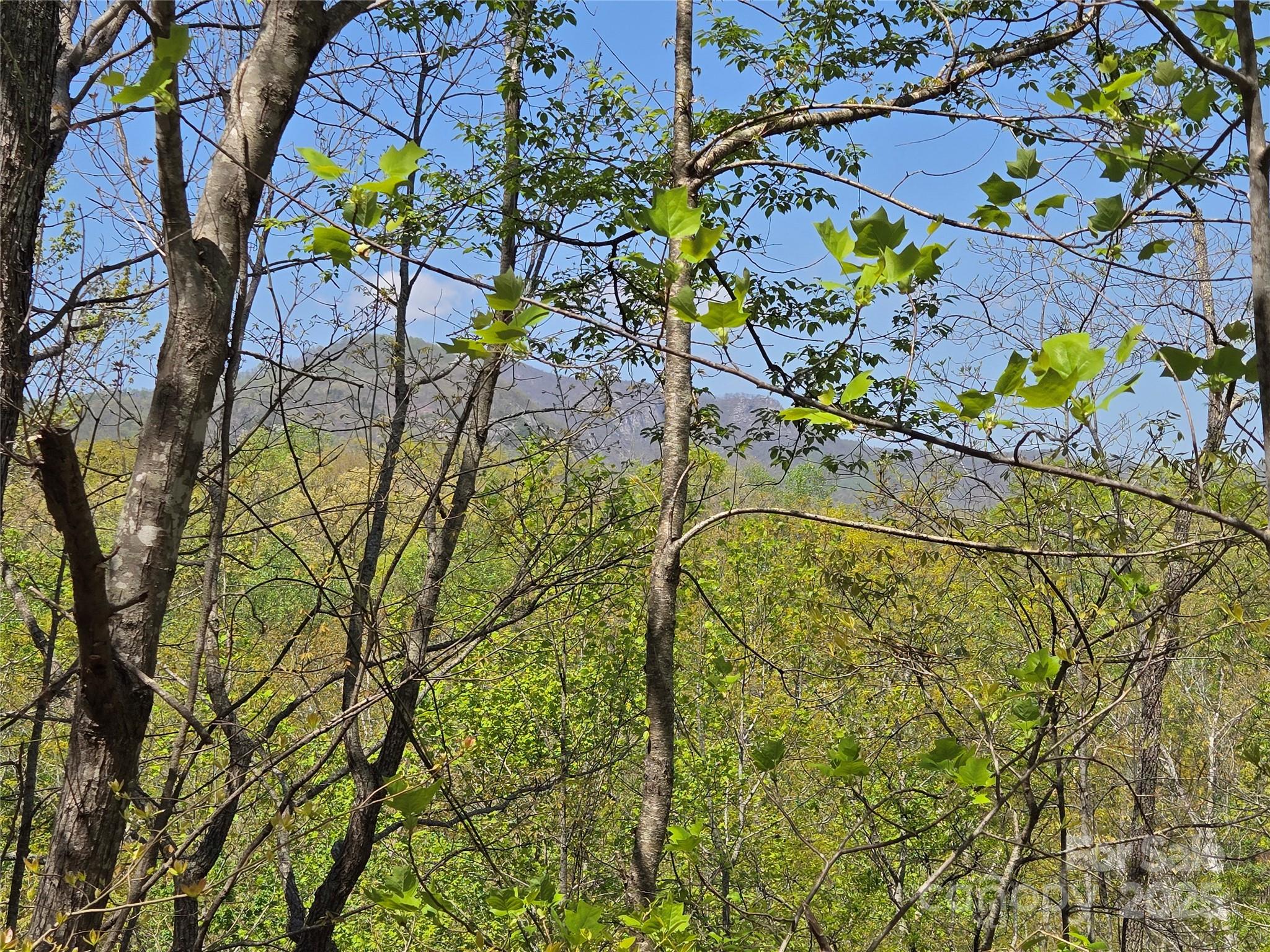 Lot 35 High Rock Ridge Lake Lure NC 28746