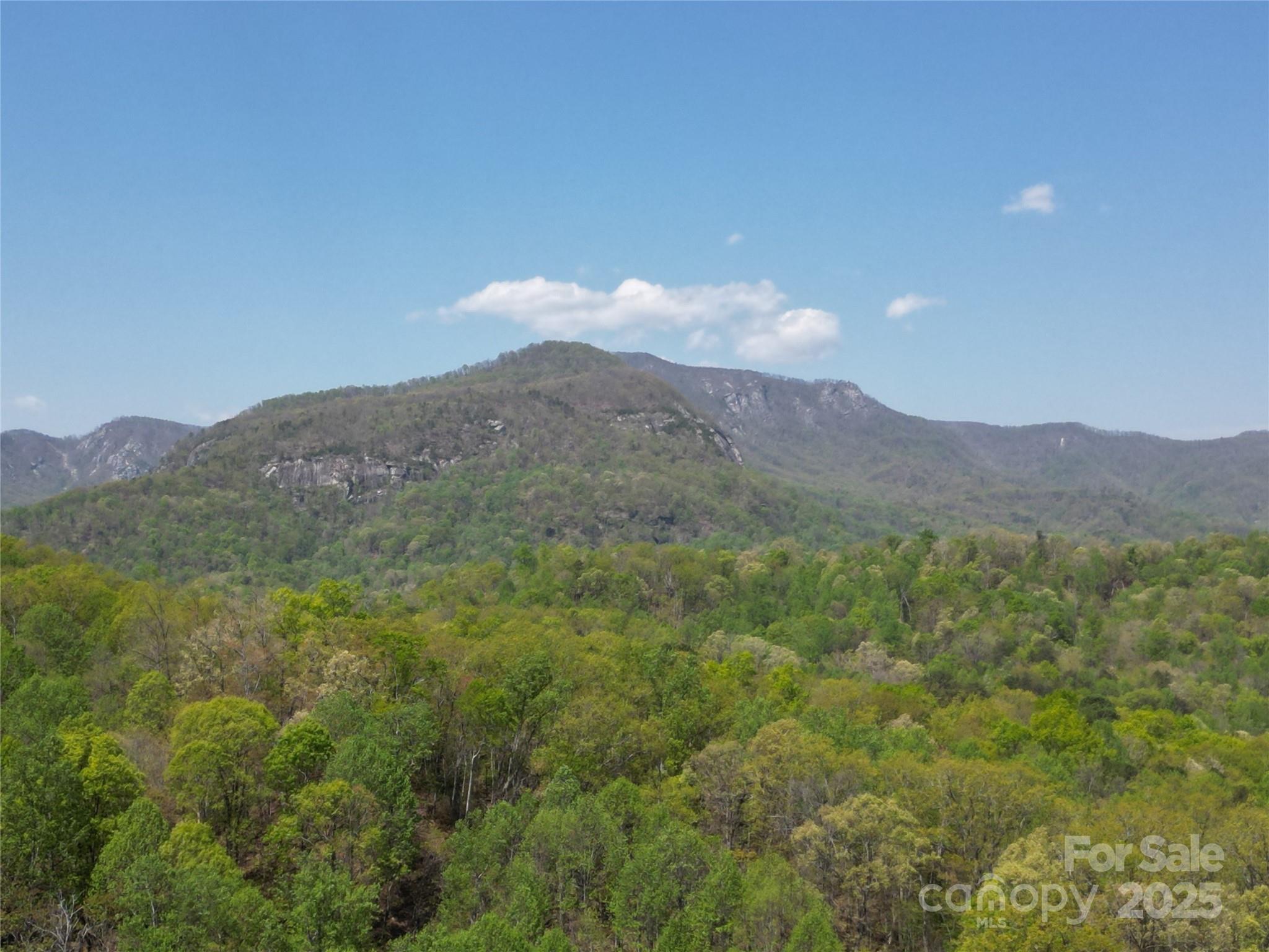 Lot 35 High Rock Ridge Lake Lure NC 28746