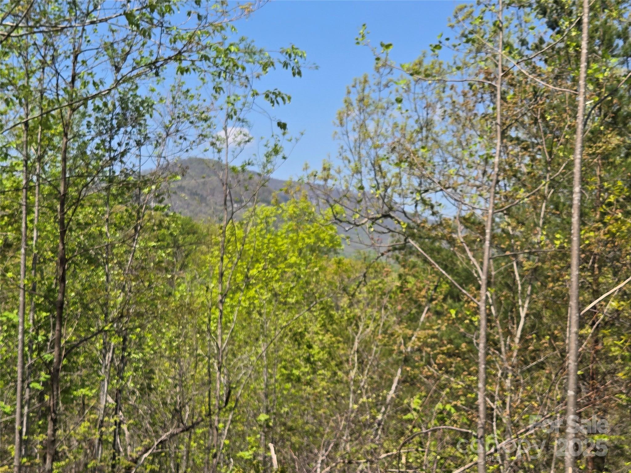 Lot 35 High Rock Ridge Lake Lure NC 28746