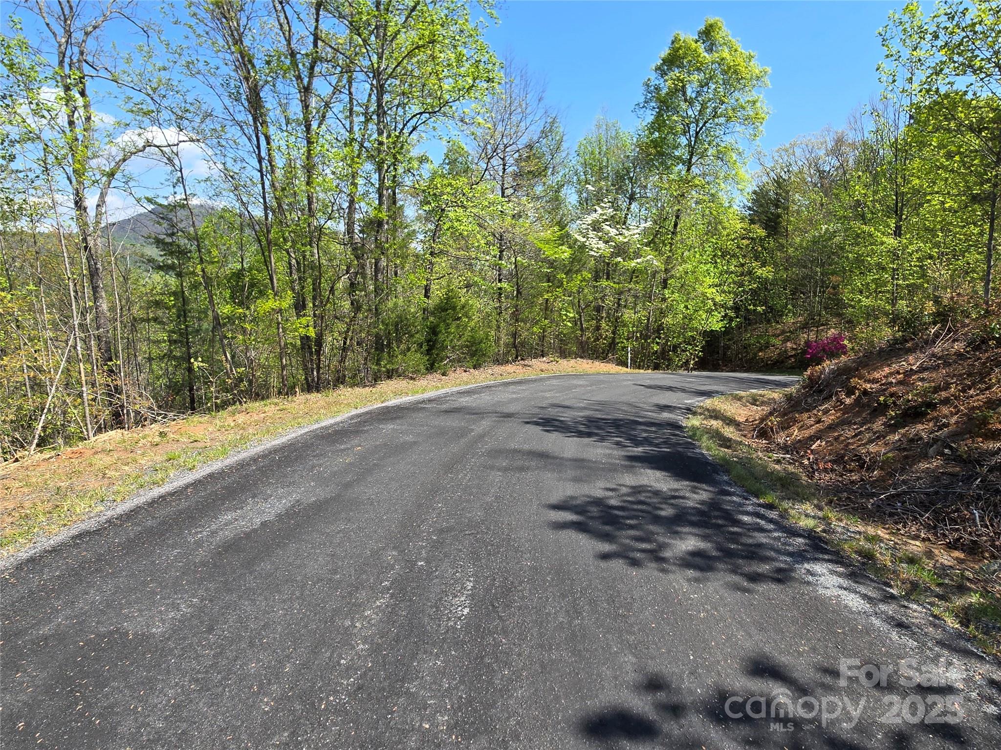Lot 35 High Rock Ridge Lake Lure NC 28746