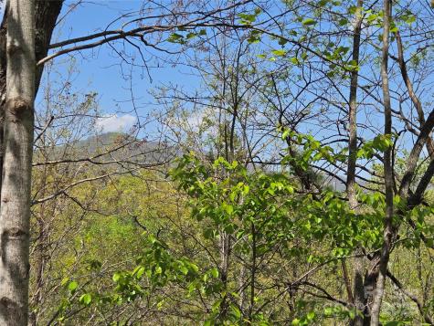 Lot 35 High Rock Ridge Lake Lure NC 28746