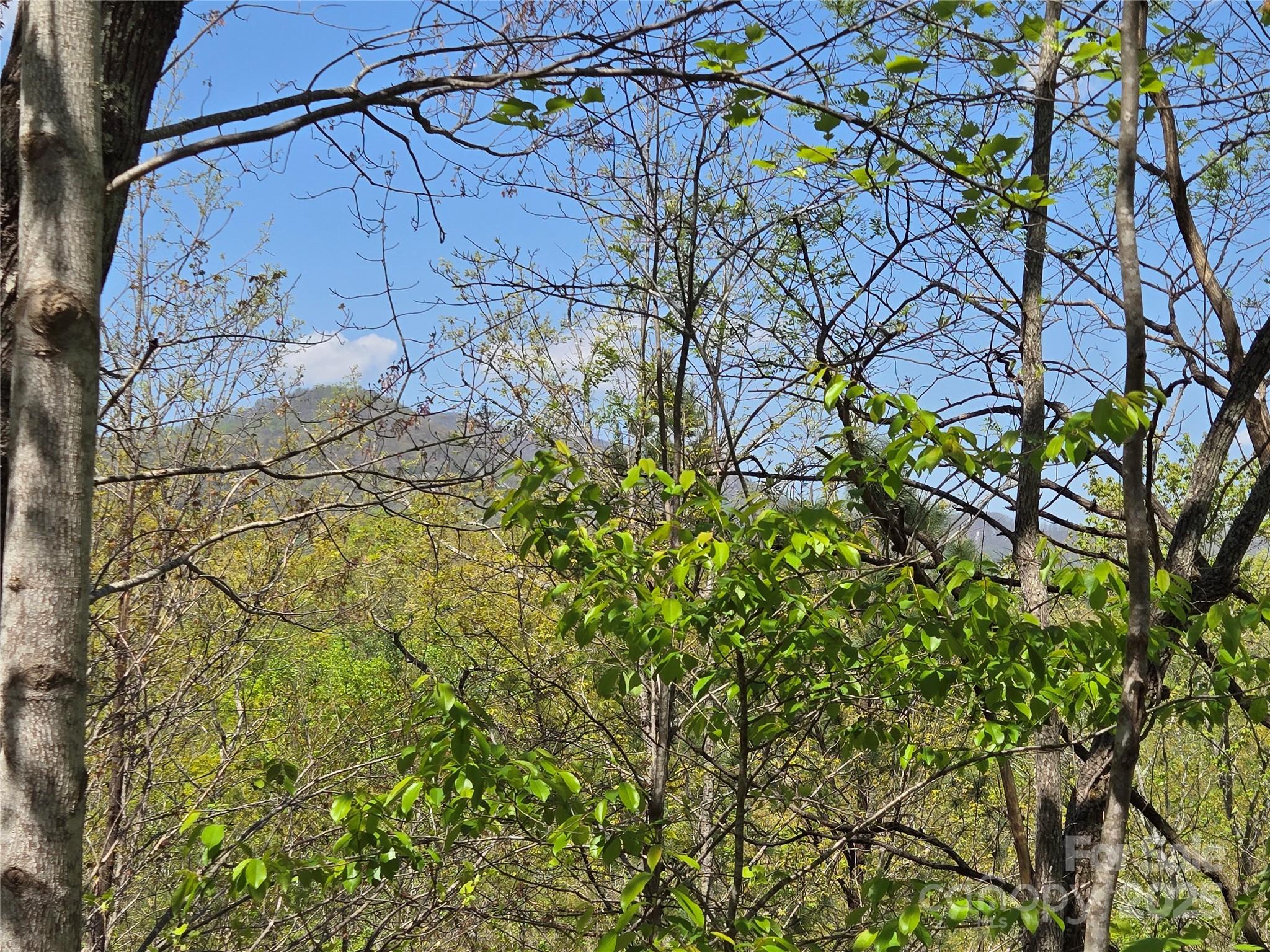 Lot 35 High Rock Ridge Lake Lure NC 28746