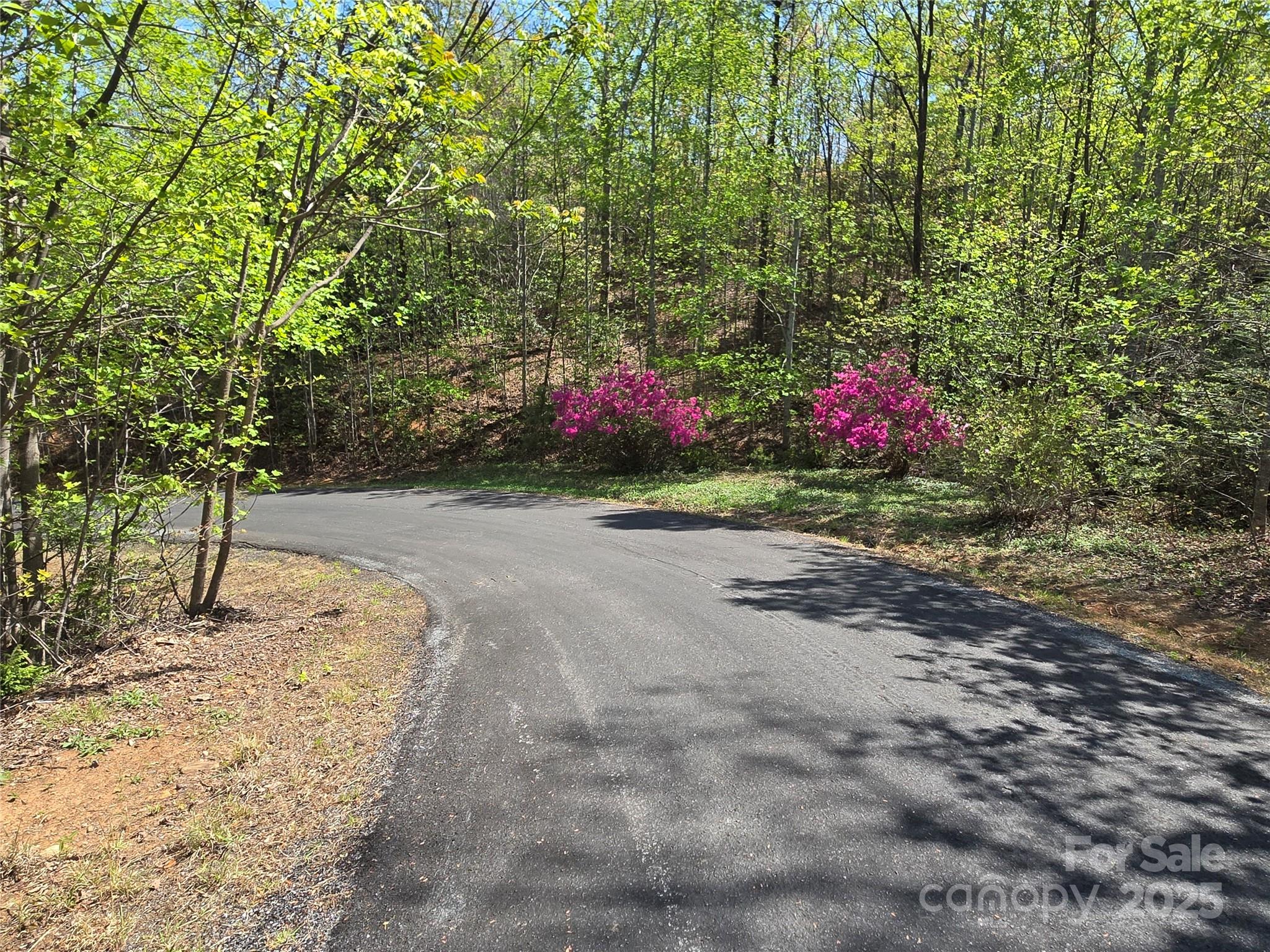 Lot 35 High Rock Ridge Lake Lure NC 28746