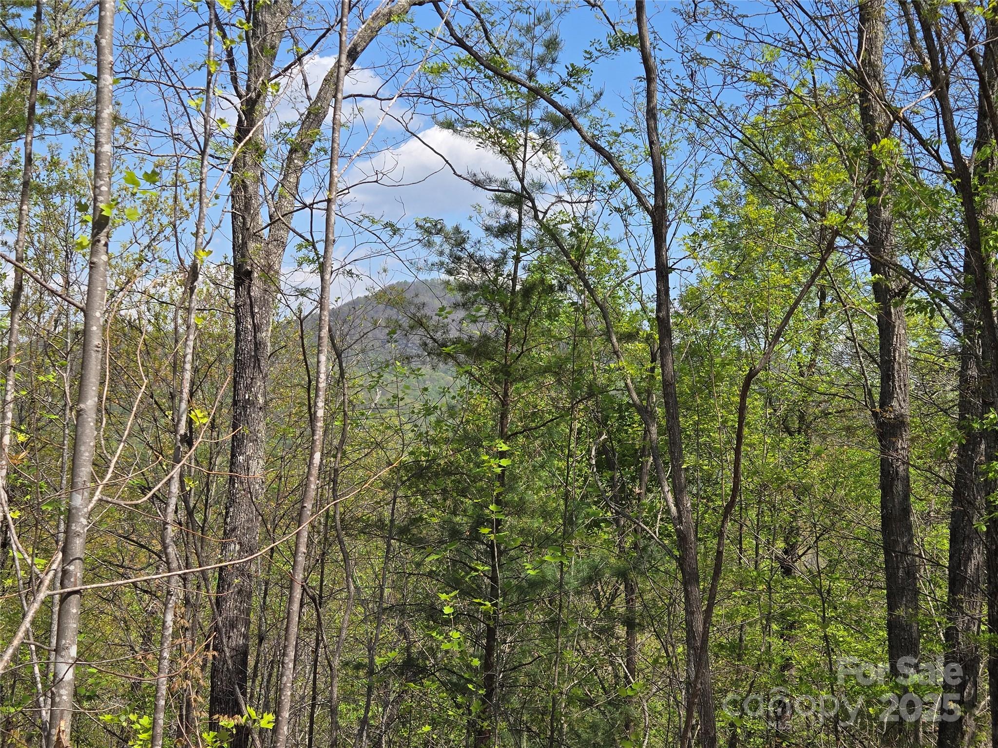 Lot 35 High Rock Ridge Lake Lure NC 28746