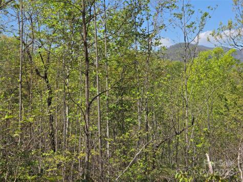 Lot 35 High Rock Ridge Lake Lure NC 28746