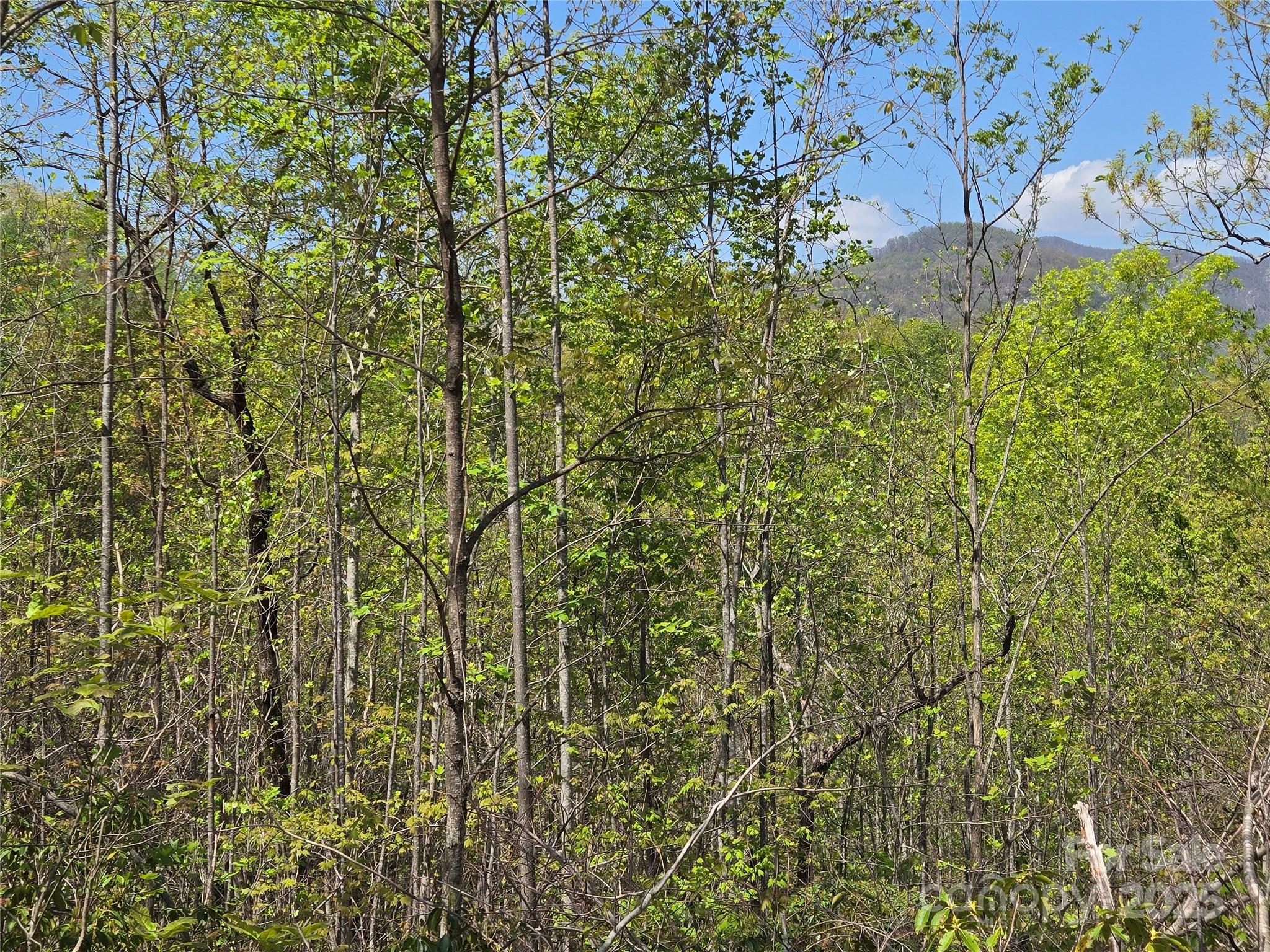 Lot 35 High Rock Ridge Lake Lure NC 28746