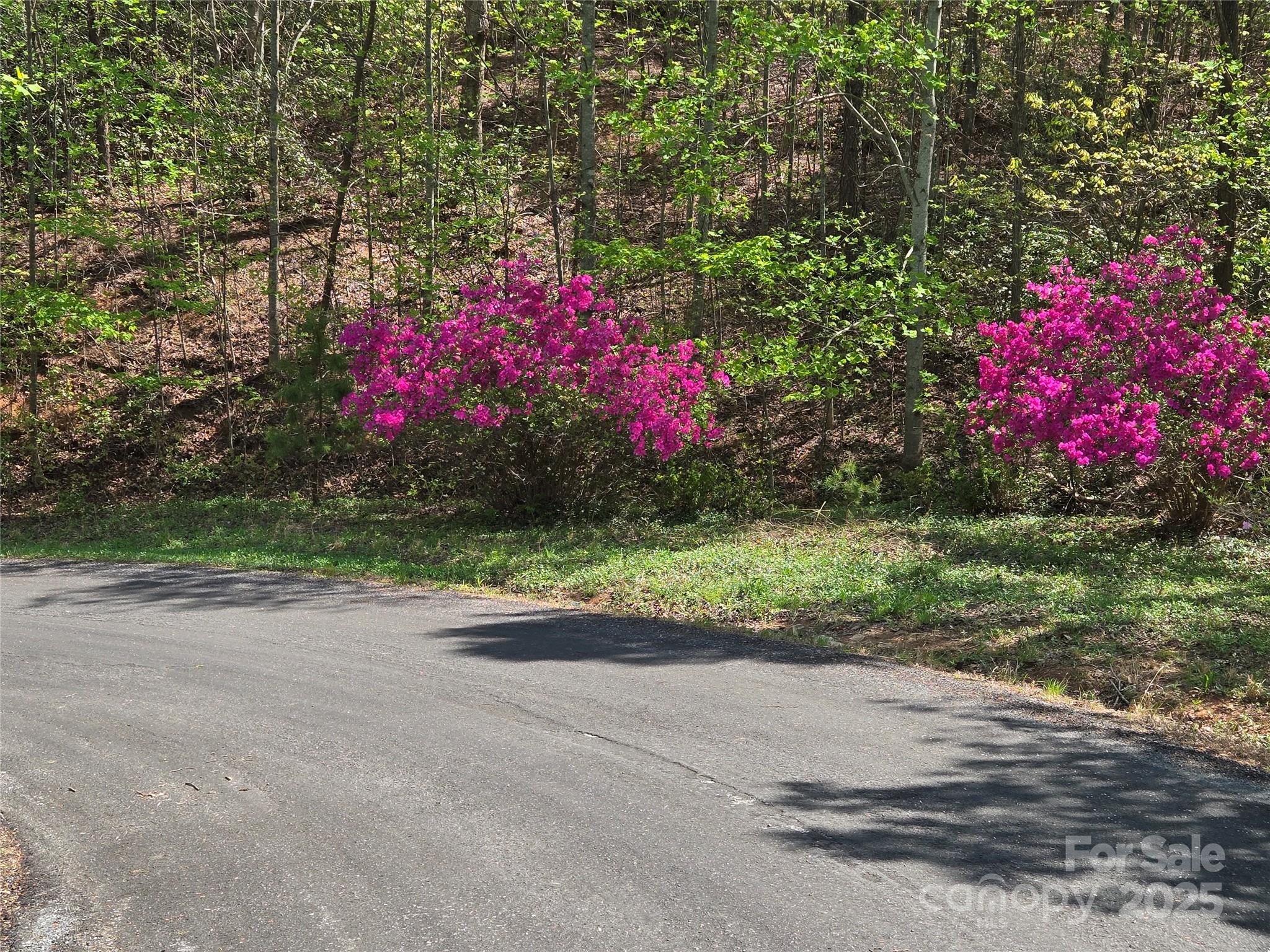 Lot 35 High Rock Ridge Lake Lure NC 28746