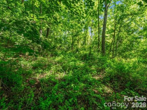 88 Hamilton Acres Drive Hendersonville NC 28791