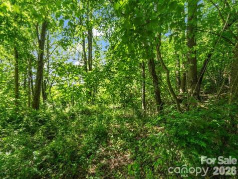 88 Hamilton Acres Drive Hendersonville NC 28791