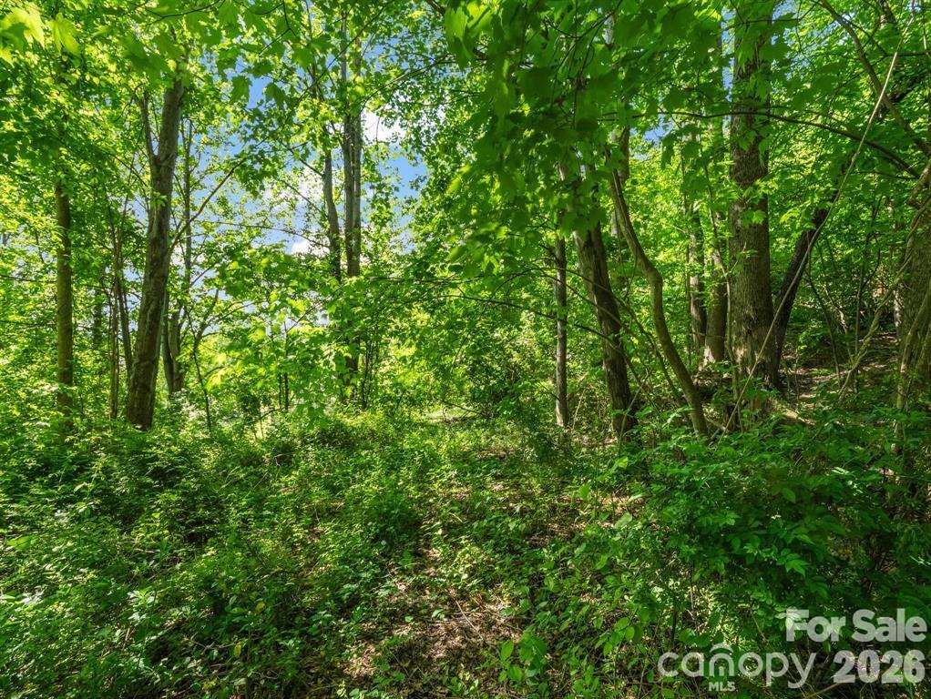 88 Hamilton Acres Drive Hendersonville NC 28791