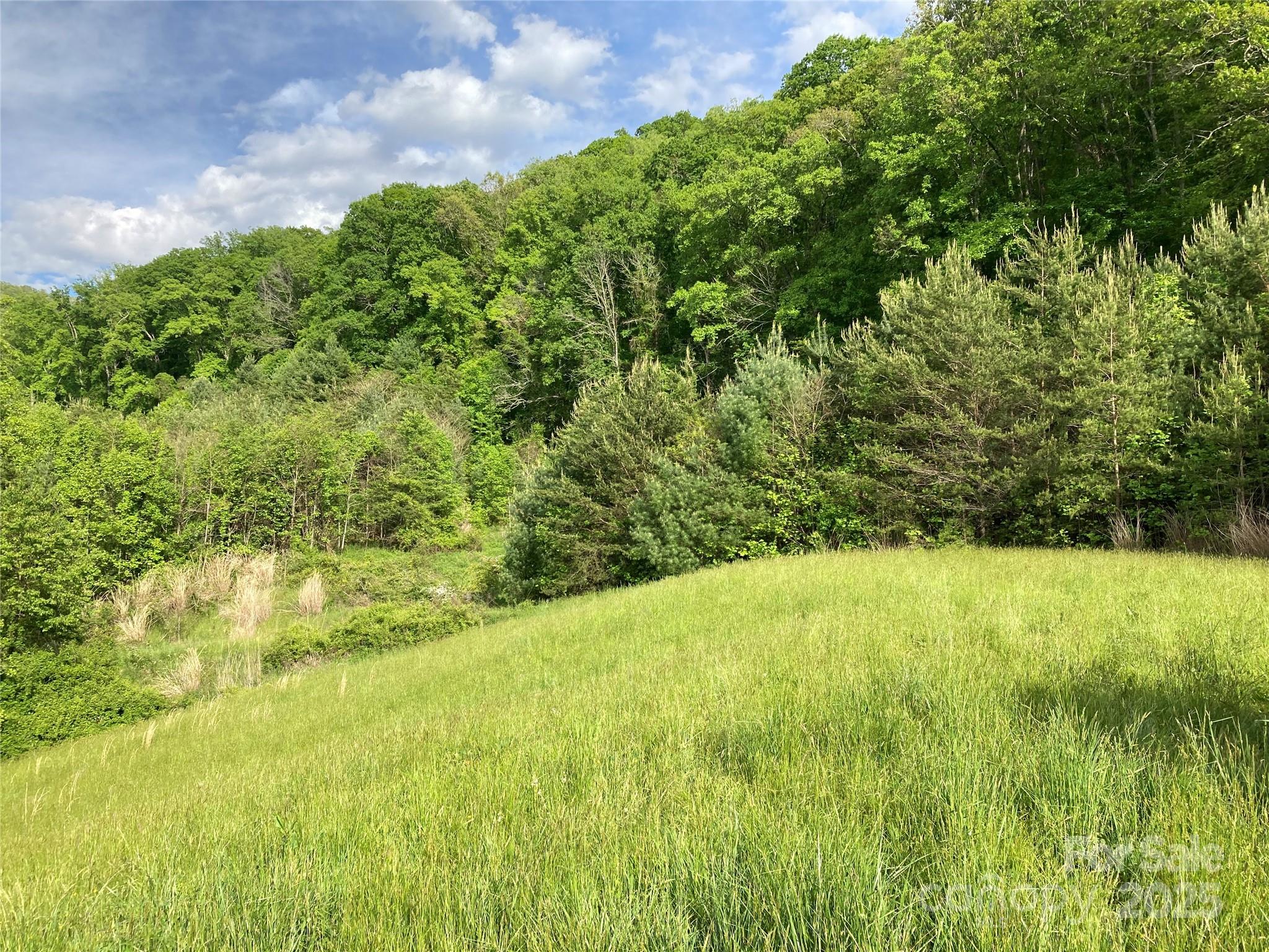 82 Seven Glens Drive Weaverville NC 28787