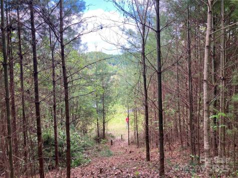 82 Seven Glens Drive Weaverville NC 28787