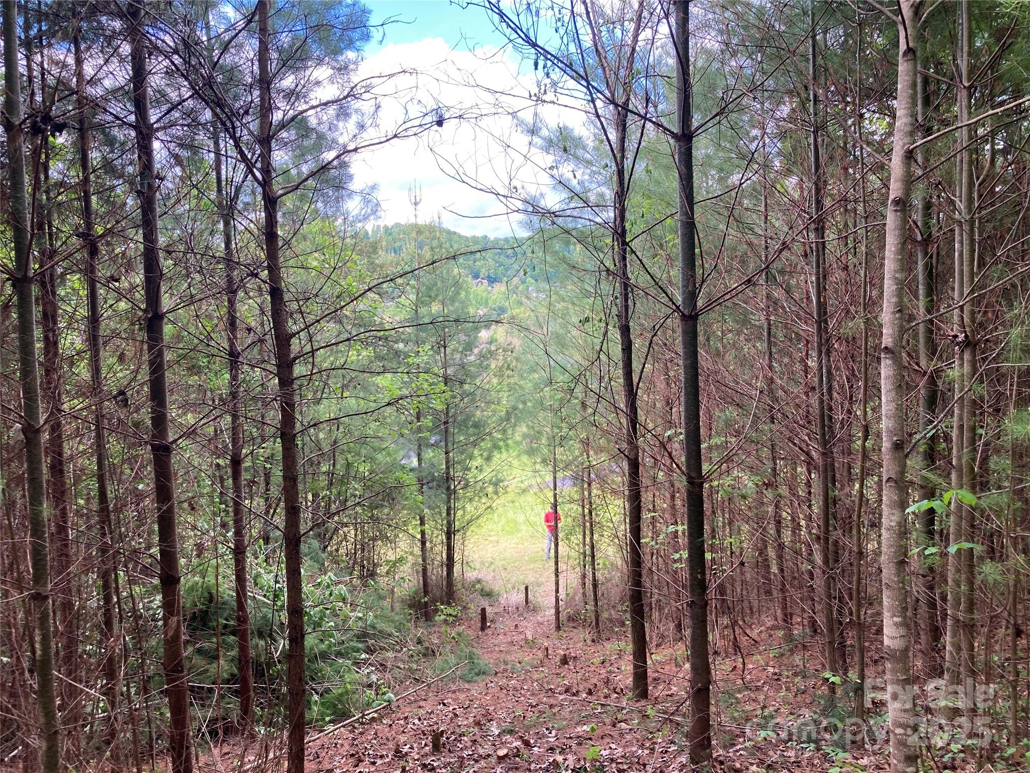 82 Seven Glens Drive Weaverville NC 28787