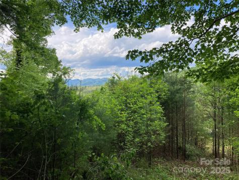 82 Seven Glens Drive Weaverville NC 28787