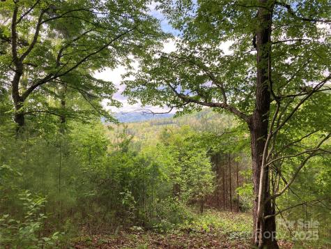 82 Seven Glens Drive Weaverville NC 28787